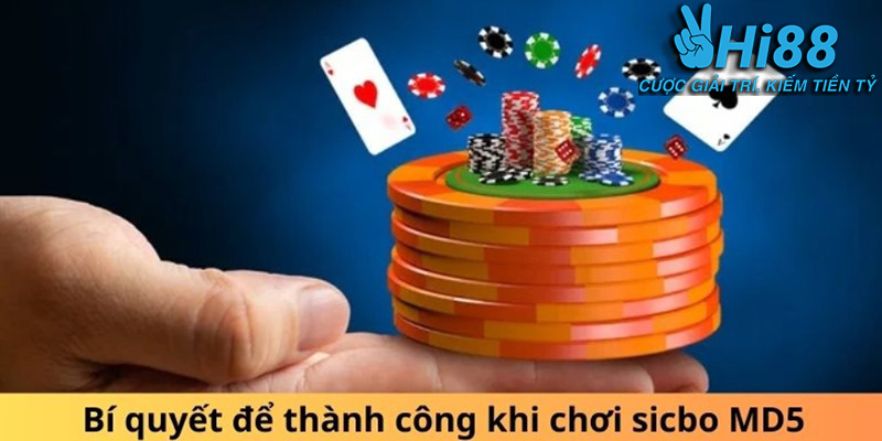 Giao diện thân thiện và dễ sử dụng